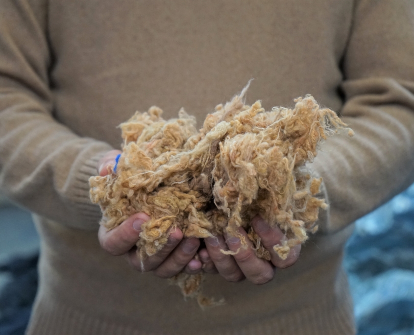 lana meccanica italiana