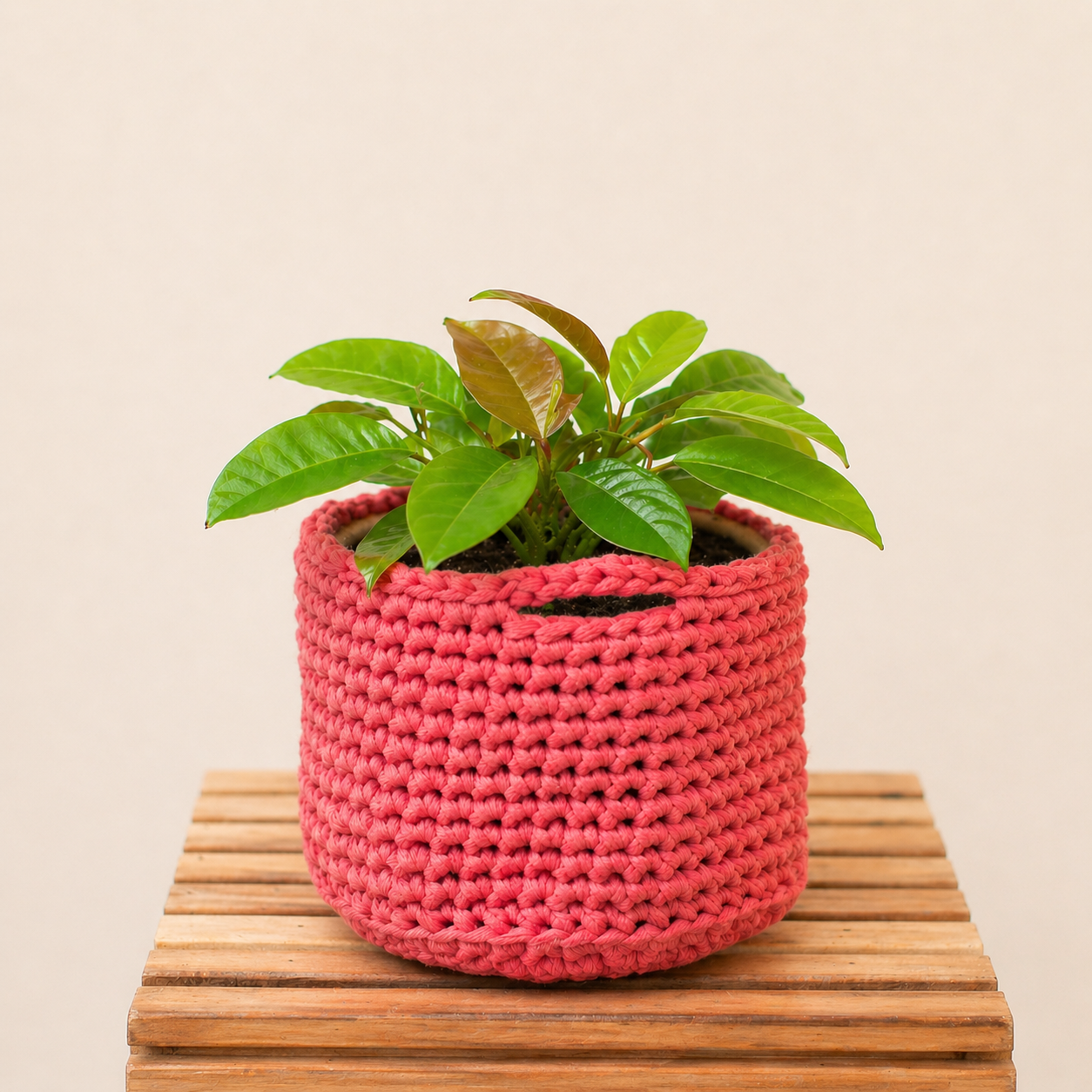 cestino all’uncinetto Billy Basket Bettaknit